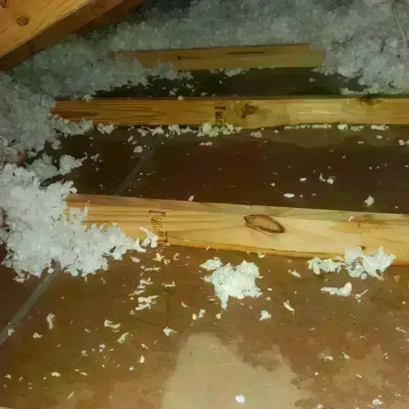 Attic Water Damage in Bedford County, PA